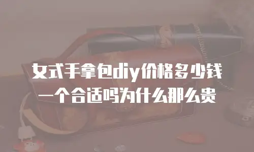 女式手拿包diy价格多少钱一个合适吗为什么那么贵