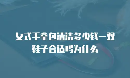 女式手拿包清洁多少钱一双鞋子合适吗为什么