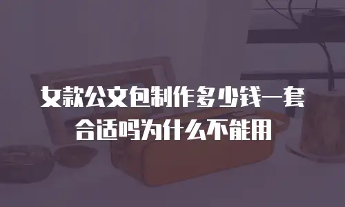女款公文包制作多少钱一套合适吗为什么不能用