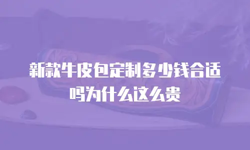 新款牛皮包定制多少钱合适吗为什么这么贵