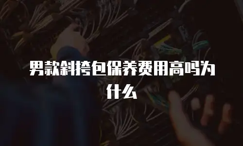 男款斜挎包保养费用高吗为什么