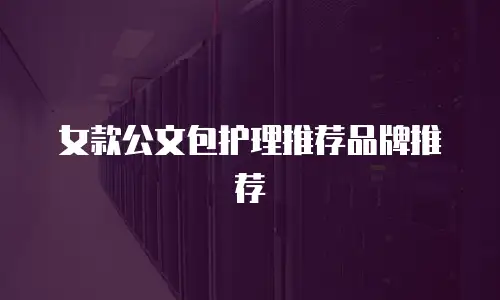 女款公文包护理推荐品牌推荐