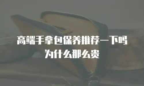 高端手拿包保养推荐一下吗为什么那么贵
