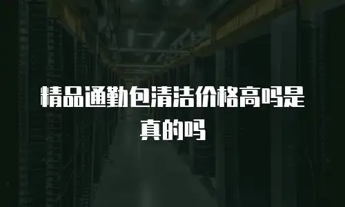 精品通勤包清洁价格高吗是真的吗