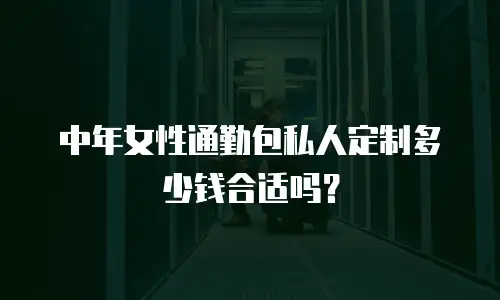 中年女性通勤包私人定制多少钱合适吗？