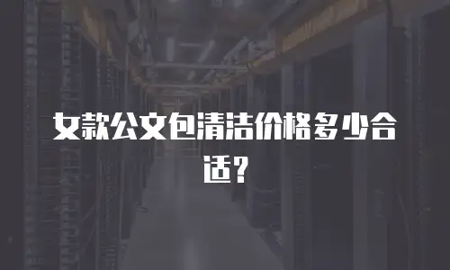 女款公文包清洁价格多少合适？