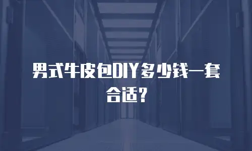 男式牛皮包DIY多少钱一套合适？