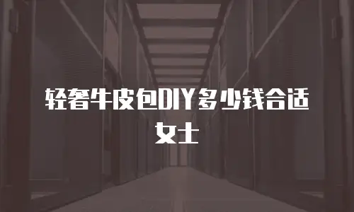轻奢牛皮包DIY多少钱合适女士