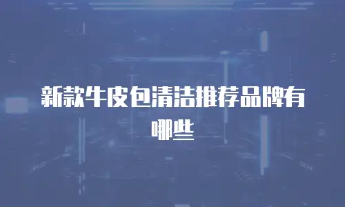 新款牛皮包清洁推荐品牌有哪些