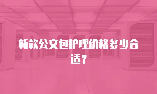 新款公文包护理价格多少合适？