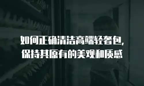 如何正确清洁高端轻奢包，保持其原有的美观和质感

