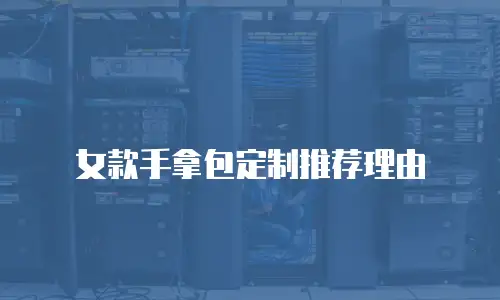 女款手拿包定制推荐理由