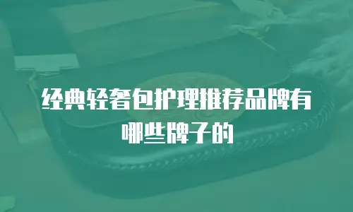 经典轻奢包护理推荐品牌有哪些牌子的