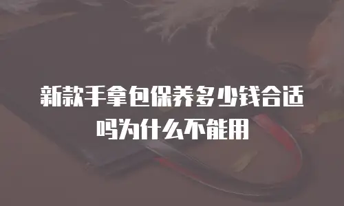 新款手拿包保养多少钱合适吗为什么不能用