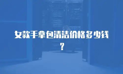 女款手拿包清洁价格多少钱？