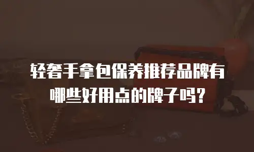 轻奢手拿包保养推荐品牌有哪些好用点的牌子吗？