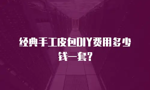 经典手工皮包DIY费用多少钱一套？
