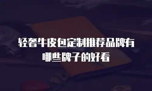 轻奢牛皮包定制推荐品牌有哪些牌子的好看