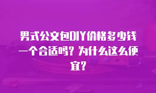 男式公文包DIY价格多少钱一个合适吗？为什么这么便宜？