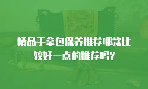 精品手拿包保养推荐哪款比较好一点的推荐吗？