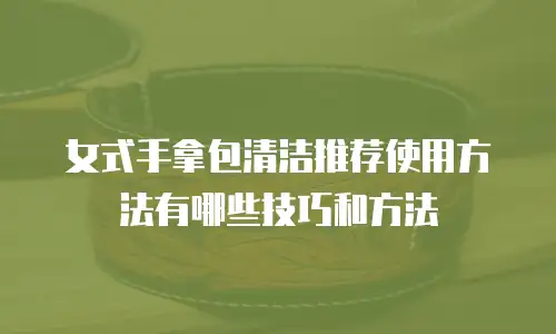 女式手拿包清洁推荐使用方法有哪些技巧和方法