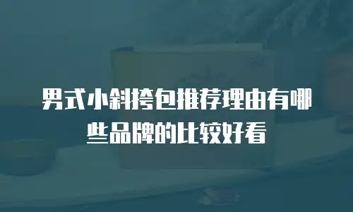 男式小斜挎包推荐理由有哪些品牌的比较好看