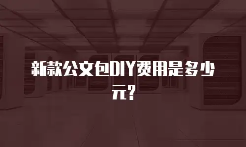 新款公文包DIY费用是多少元?