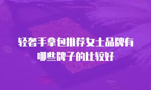 轻奢手拿包推荐女士品牌有哪些牌子的比较好