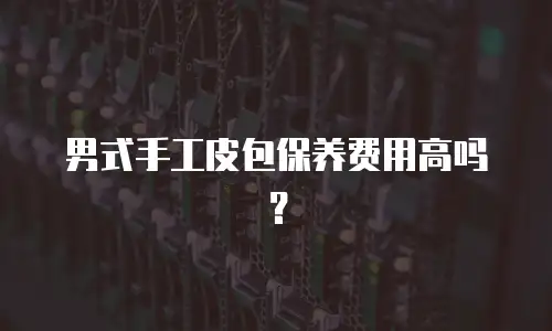 男式手工皮包保养费用高吗？