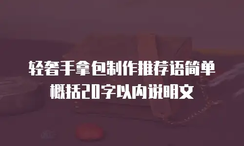 轻奢手拿包制作推荐语简单概括20字以内说明文