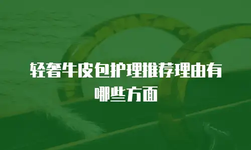 轻奢牛皮包护理推荐理由有哪些方面