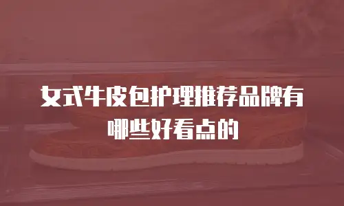 女式牛皮包护理推荐品牌有哪些好看点的