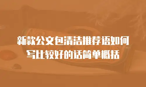 新款公文包清洁推荐语如何写比较好的话简单概括