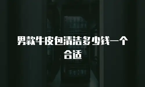 男款牛皮包清洁多少钱一个合适