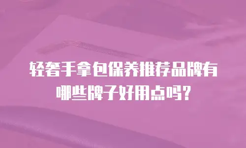 轻奢手拿包保养推荐品牌有哪些牌子好用点吗？