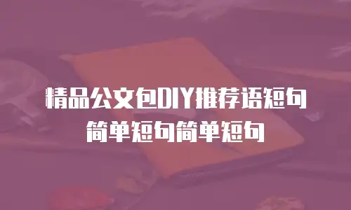 精品公文包DIY推荐语短句简单短句简单短句