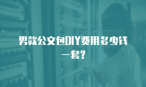 男款公文包DIY费用多少钱一套？