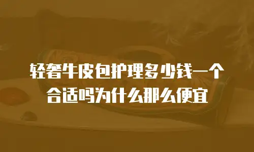 轻奢牛皮包护理多少钱一个合适吗为什么那么便宜