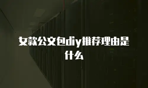 女款公文包diy推荐理由是什么