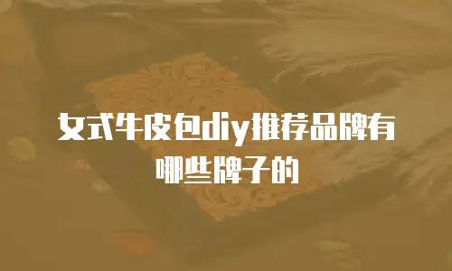 女式牛皮包diy推荐品牌有哪些牌子的