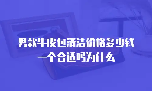 男款牛皮包清洁价格多少钱一个合适吗为什么