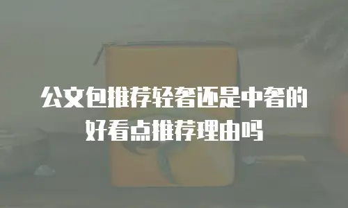 公文包推荐轻奢还是中奢的好看点推荐理由吗