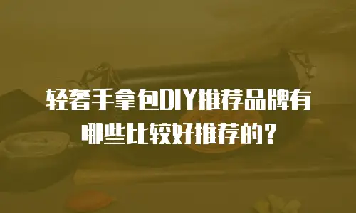 轻奢手拿包DIY推荐品牌有哪些比较好推荐的？