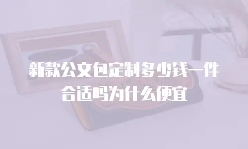 新款公文包定制多少钱一件合适吗为什么便宜