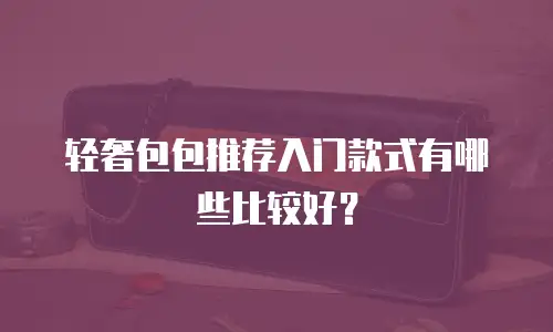 轻奢包包推荐入门款式有哪些比较好？