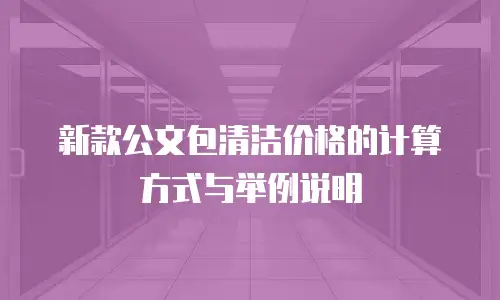 新款公文包清洁价格的计算方式与举例说明