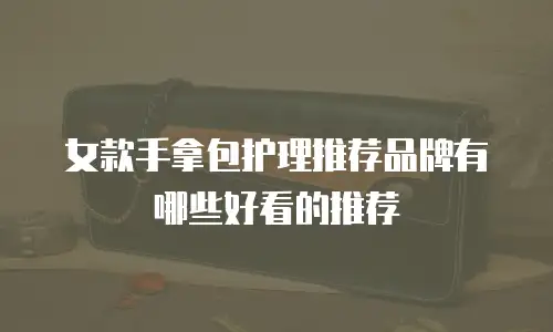 女款手拿包护理推荐品牌有哪些好看的推荐