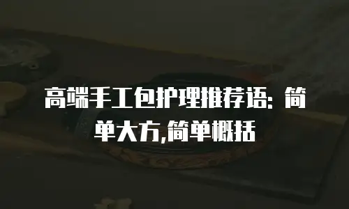 高端手工包护理推荐语: 简单大方,简单概括