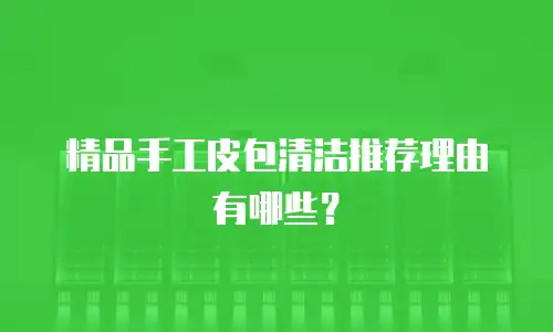 精品手工皮包清洁推荐理由有哪些？