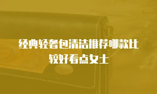经典轻奢包清洁推荐哪款比较好看点女士